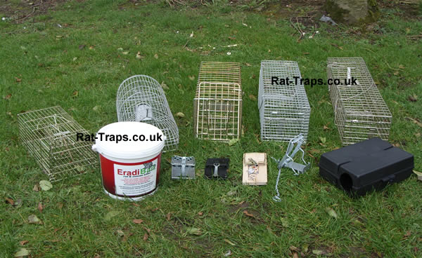 rat traps