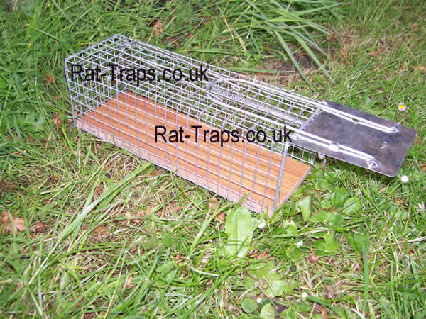 single catch rat trap small